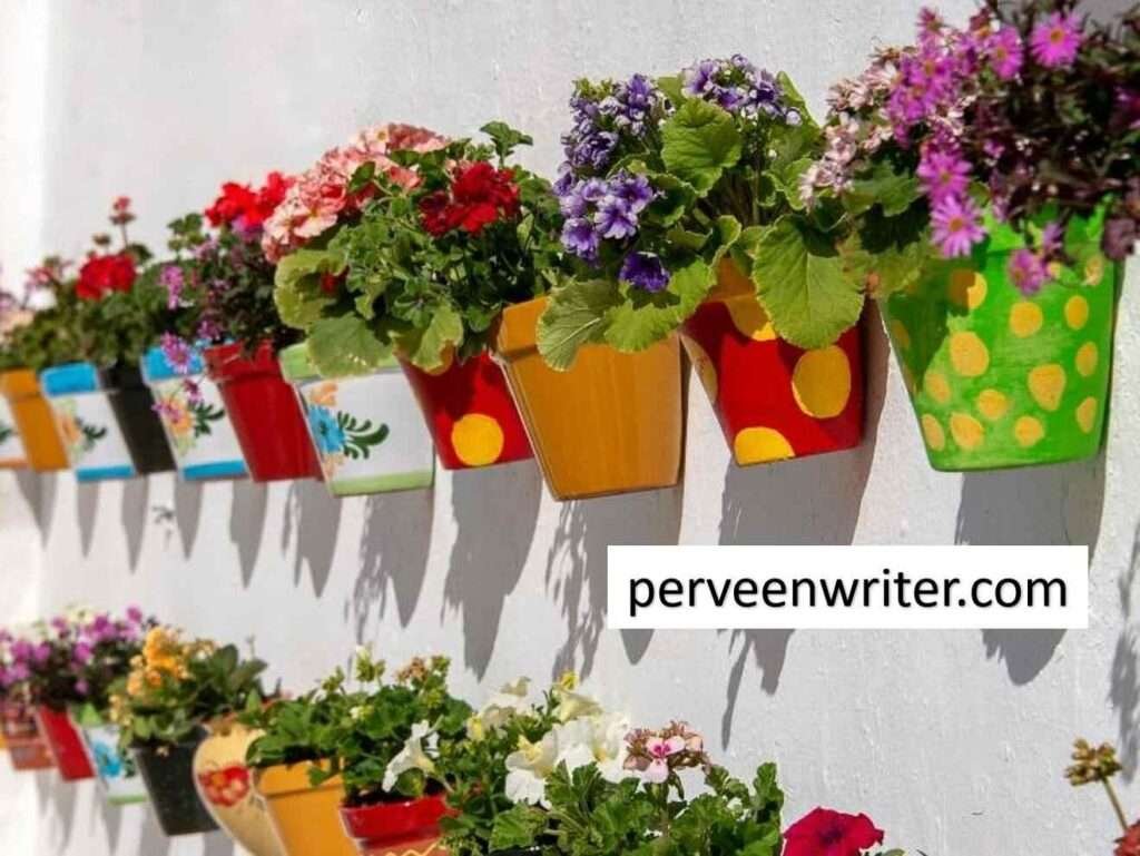 use color pots to