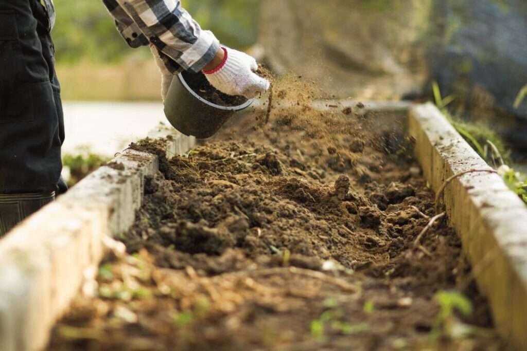 compost for plants