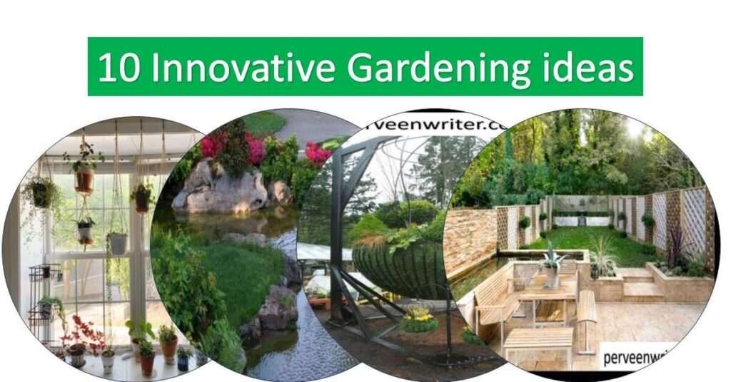 gardening ideas feature image