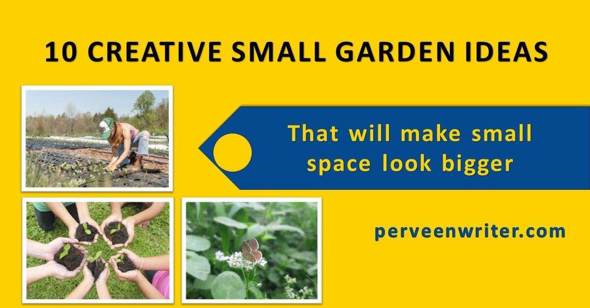 gardening ideas feature image