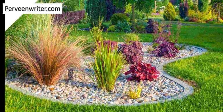 20 INEXPENSIVE AND LOW MAINTENANCE LANDSCAPE IDEAS FOR YOUR YARD