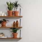 vertical gardening ideas