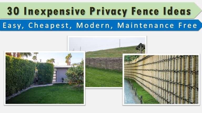 30 inexpensive privacy fence ideas