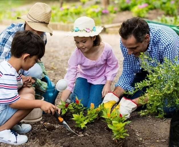 gardening