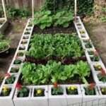 use concrete pots as low cost gardening