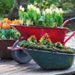 low cost garden ideas