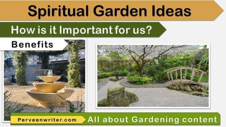 meditation garden ideas