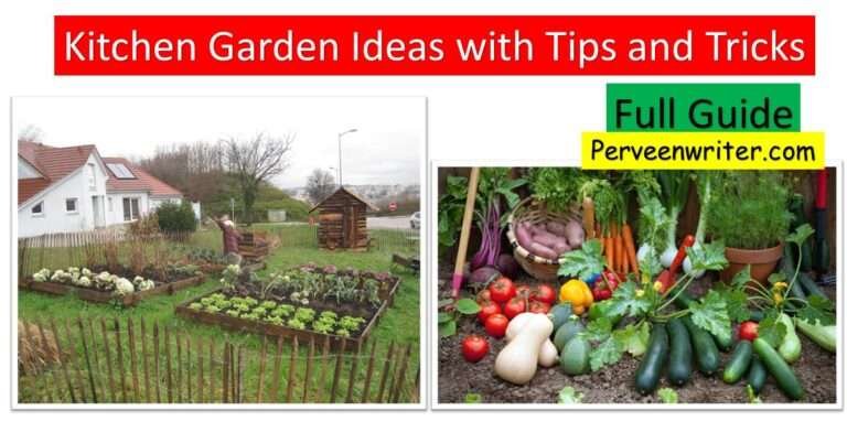 kitchen garden ideas