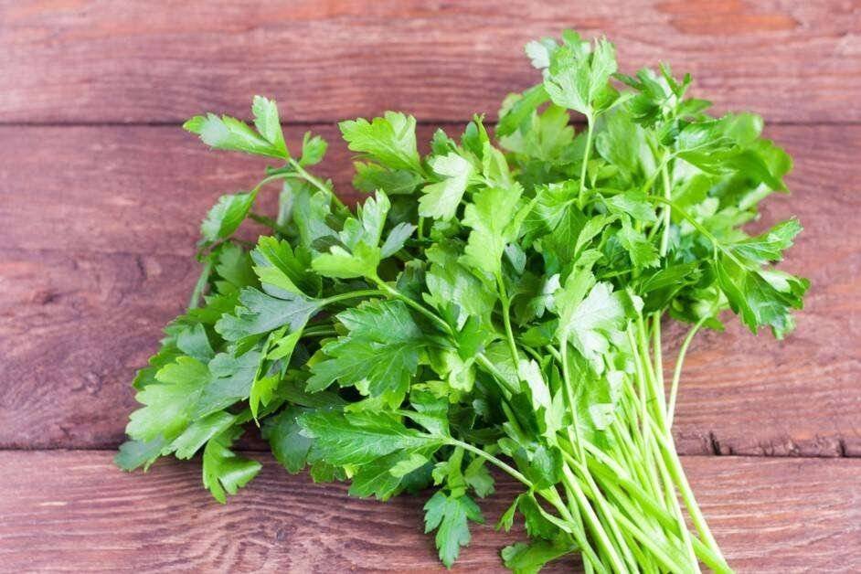 grow parsley at home