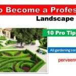 Pathway to Becoming a Professional Landscape Designer: 10 Best Tips