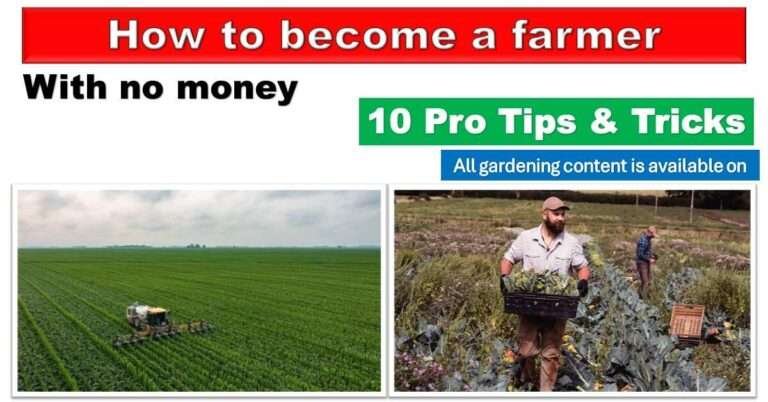 how to become farmer with no money