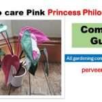 Pink Princess Philodendron Care Guide: 10 Best Tips