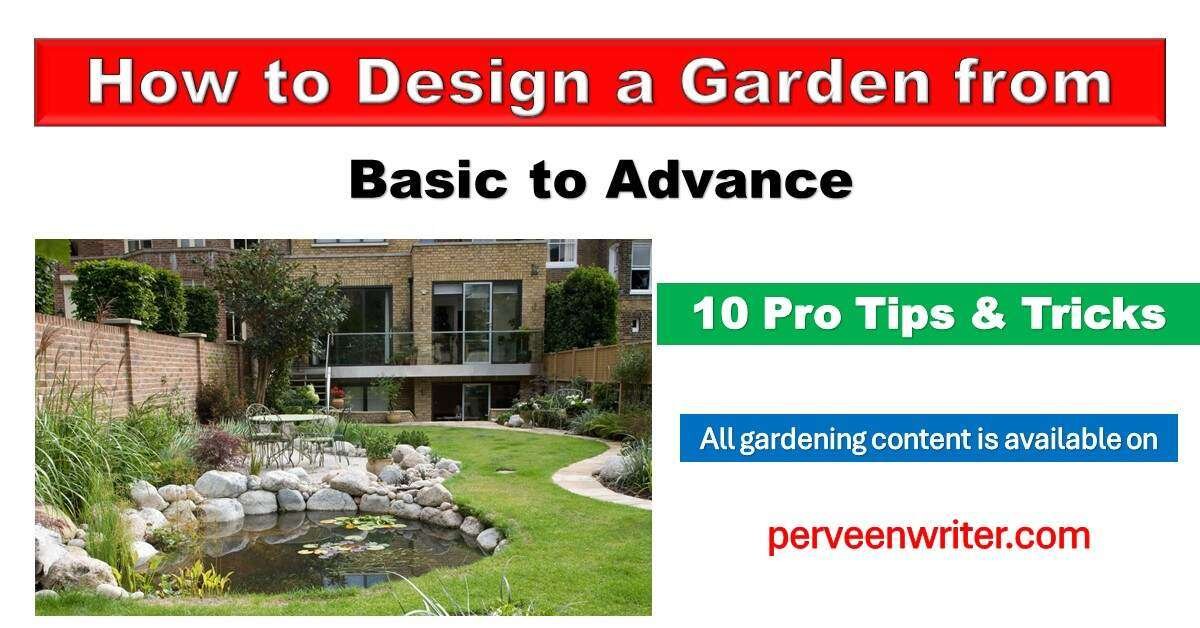 how to design a garden from basic to advance