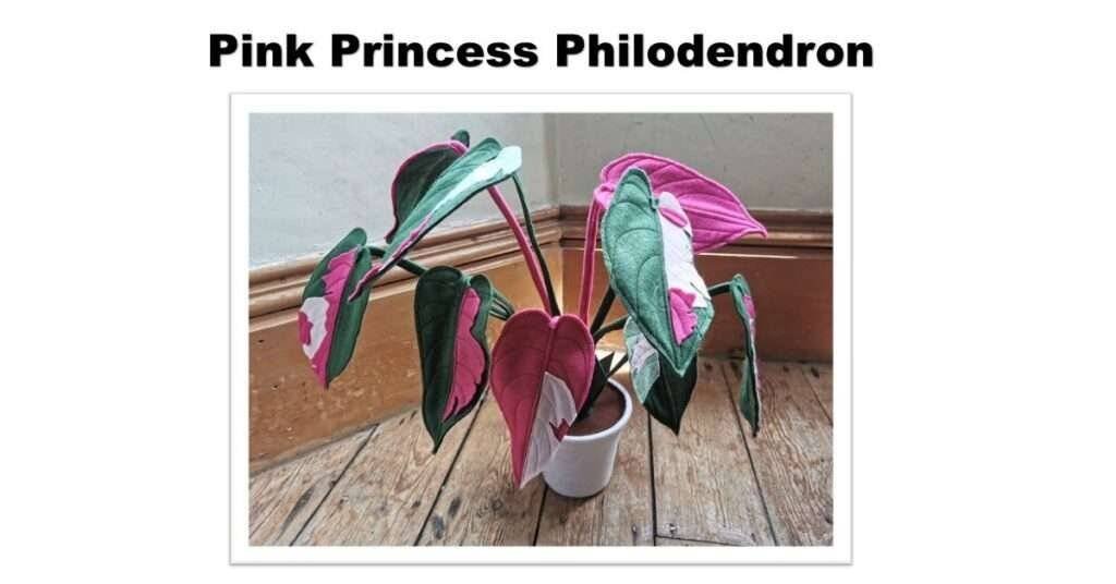 Pink Princess Philodendron Care Guide: 10 Best Tips