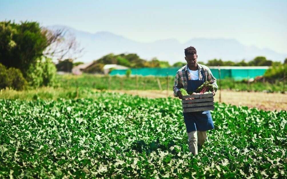 sustainable farming