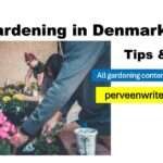 Gardening in Denmark: 6 Best Tips with FAQs