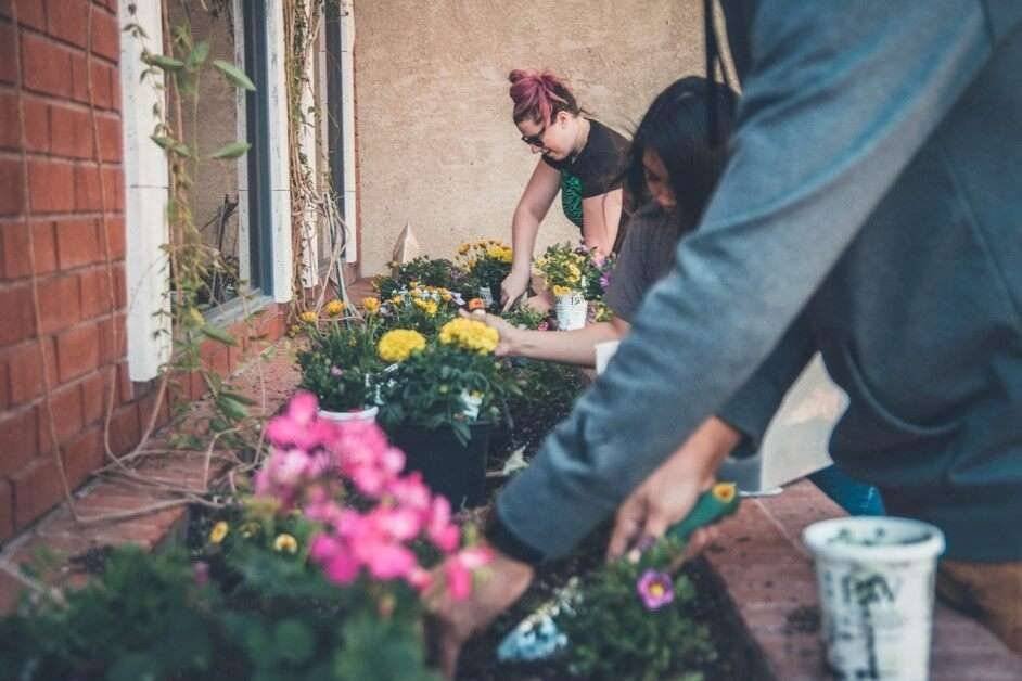 gardening in denmark