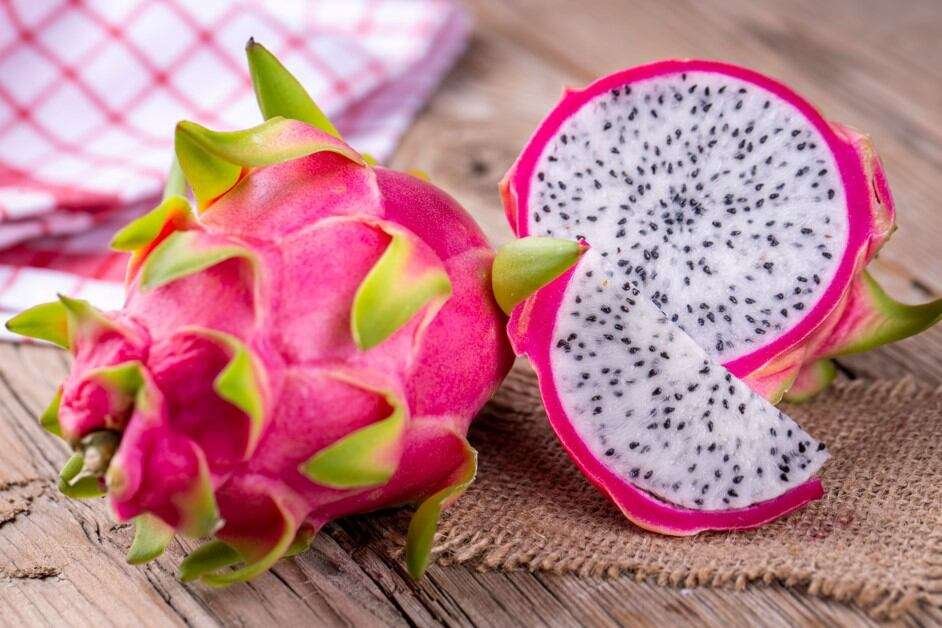 how to grow dragon fruit guide